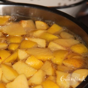 IMG_5723_quitten-gelee_quadr