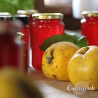 IMG_5750_quitten-gelee_quadr