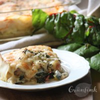 IMG_7495_Gemueselasagne