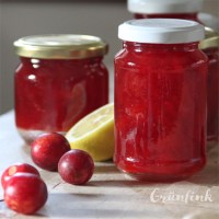 IMG_7534_Ringlotten-Marmelade