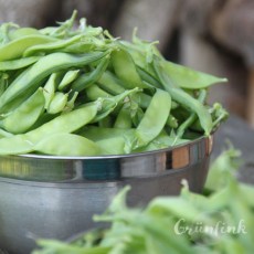 img_7347_zuckererbsen