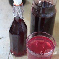 IMG_7643_Beerensirup