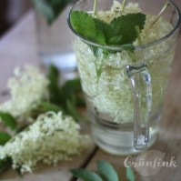 IMG_0027_kraeuter-wasser