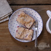 IMG_2039_ribiselschnitten_quadr